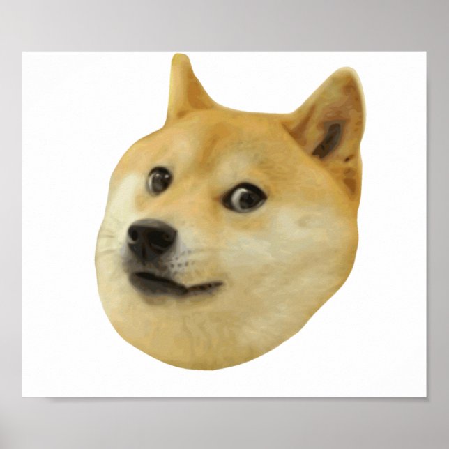Doge sehr Wow viel Hund wie Shiba Shibe in u Poster (Vorne)