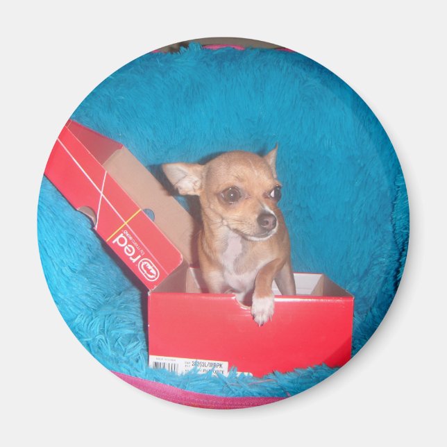 Dogenmagnet Magnet (Vorne)