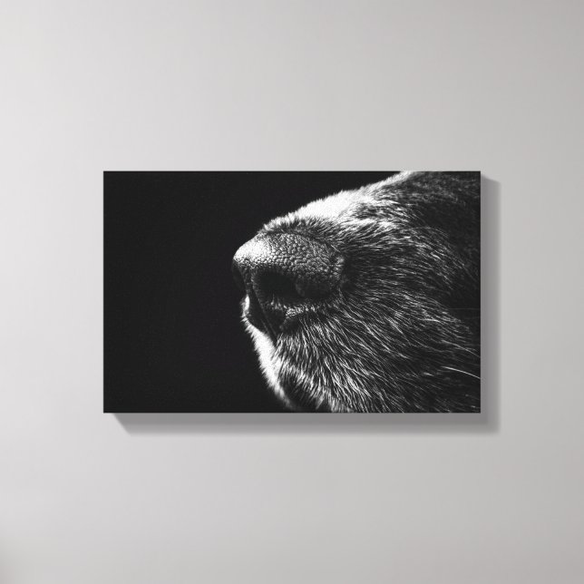 Dogennose ummantelte Canvas Leinwanddruck (Vorderseite)