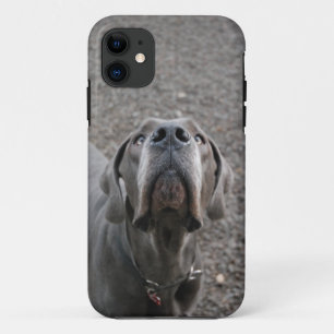 Dogge am Ohr Case-Mate iPhone Hülle