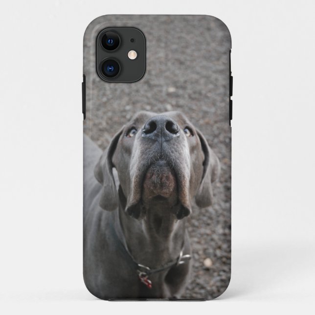 Dogge am Ohr Case-Mate iPhone Hülle (Rückseite)