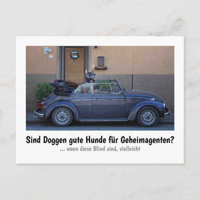 Dogge: der Hund für Geheimagenten  Postkarte (Vorderseite)