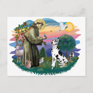 Dogge (Harlekin) Postkarte