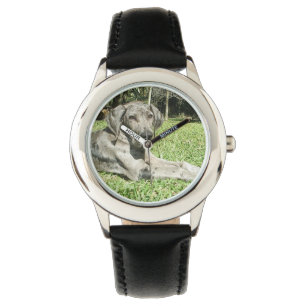 Dogge-Hund Armbanduhr