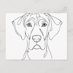Dogge Kopfzeichnung II Postkarte