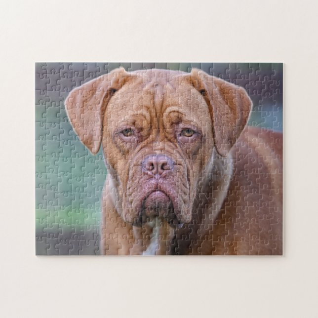Dogge von Bordeaux Dog Puzzle (Horizontal)