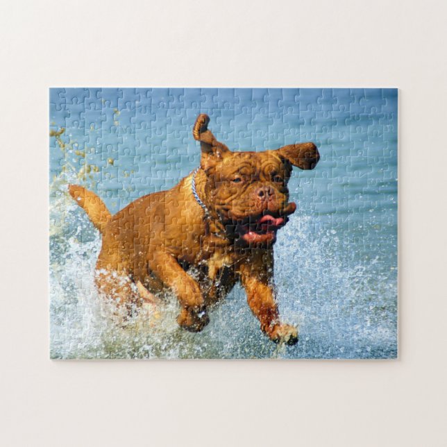 Dogge von Bordeaux playing in water Puzzle (Horizontal)