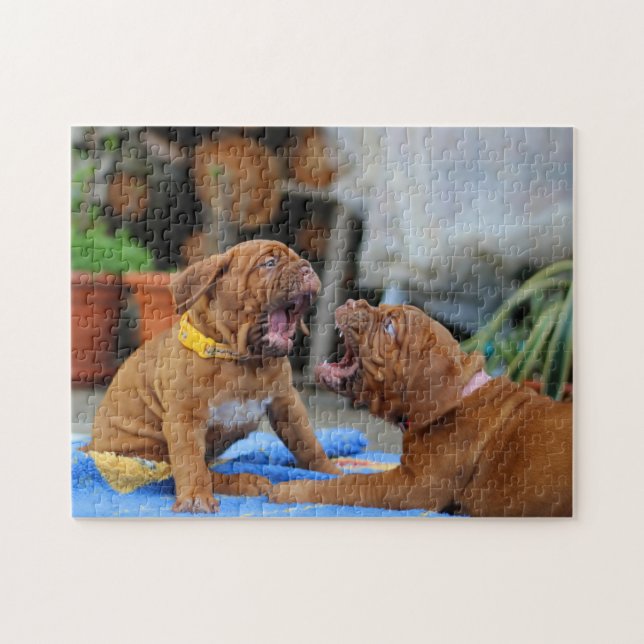 Dogge von Bordeaux puppies playing Puzzle (Horizontal)