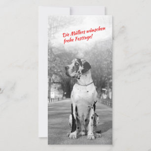 Dogge-Weihnachtenfoto Karten