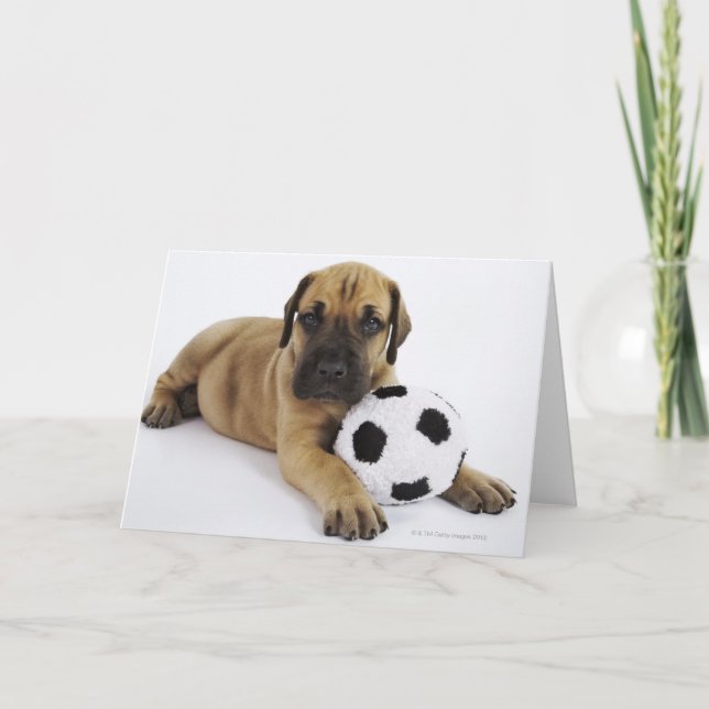 Dogge-Welpe mit Fußball Karte (Vorderseite)