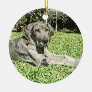 Dogge-Welpen-Verzierungen Keramikornament