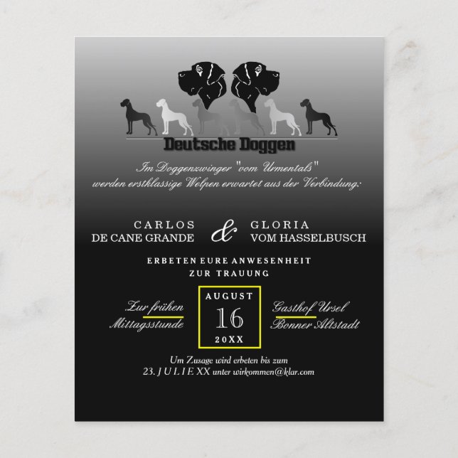 Doggen flyer (Hinten)