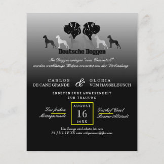 Doggen-Flyer Flyer