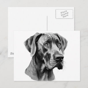 Doggen Kopf Zeichnung Postkarte
