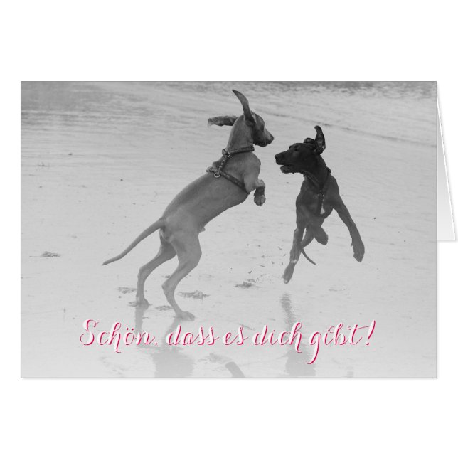 Doggenkarte "Schön" (Vorderseite (Horizontal))