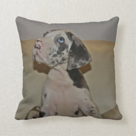 Doggenwelpe Kissen
