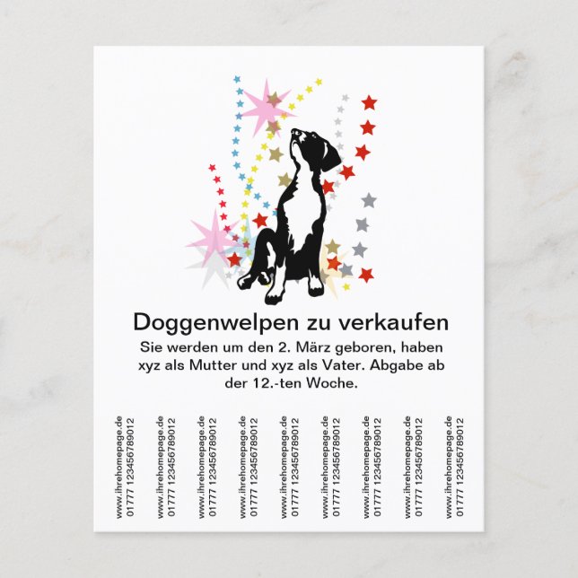 Doggenwelpen zu verkaufen? flyer (Vorne)