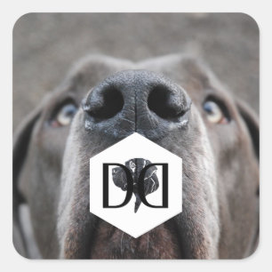 Doggenzucht Aufkleber
