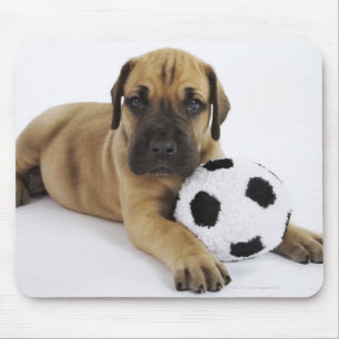Doggewelpe mit Spielzeug-Fußball Mousepad