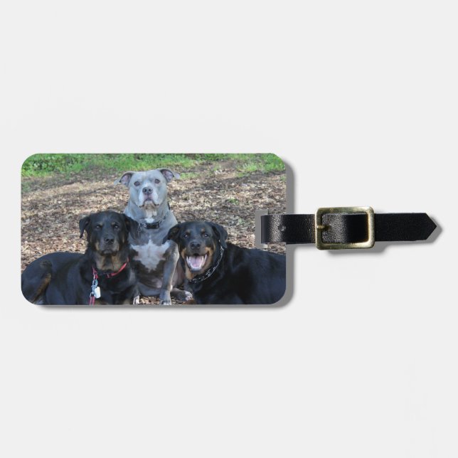 Doggie Family Picture Luggage Tag Gepäckanhänger (Vorderseite horizontal)
