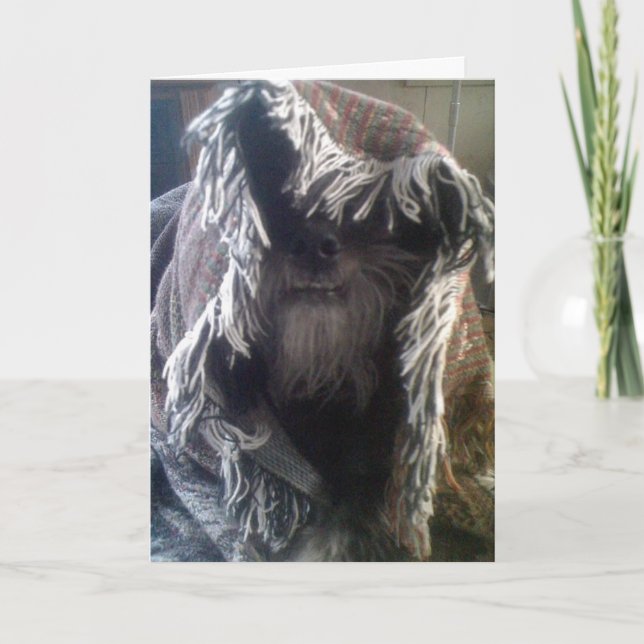 DOGGIE IN BLANKETS SAGT "FLÜCHTIGE BLICK-A-BOO" MI KARTE (Vorderseite)