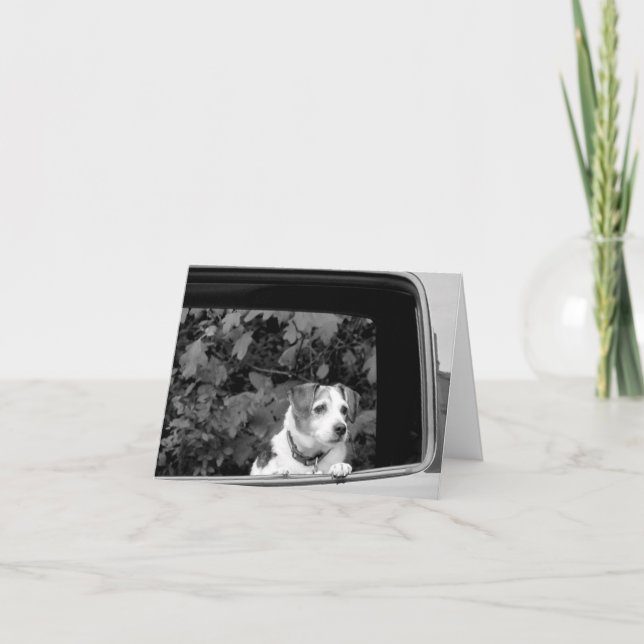 Doggie in der Window Note Card Dankeskarte (Vorderseite)