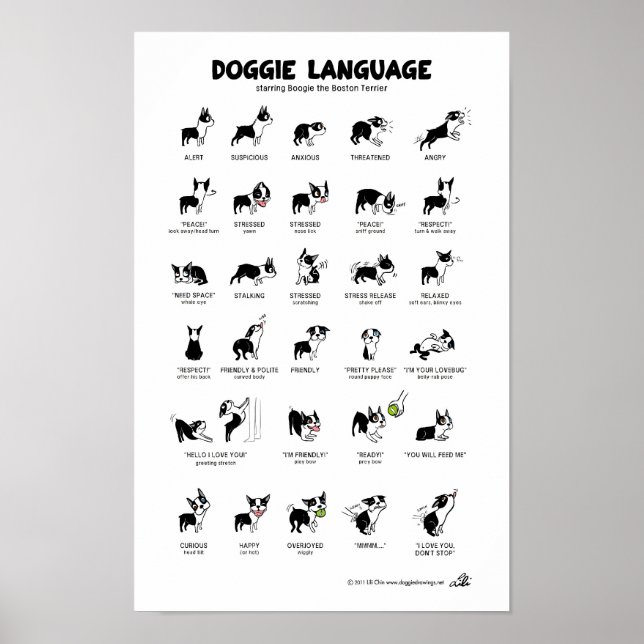 DOGGIE LANGUAGE Grosses Poster (Vorne)