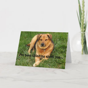 Doggie Thinking About You Greeting Card Karte