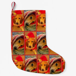 Doggie Weihnachten Strumpf von Tamara Diaz Kleiner Weihnachtsstrumpf