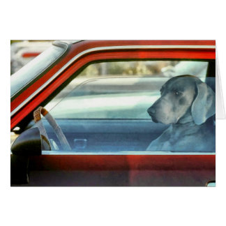 Doggy Driver