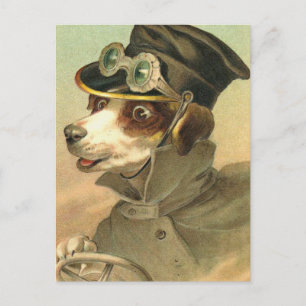 Doggy Driver Postkarte