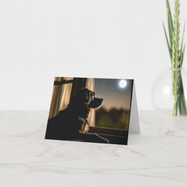 Doggy im Fenster (Vorderseite)