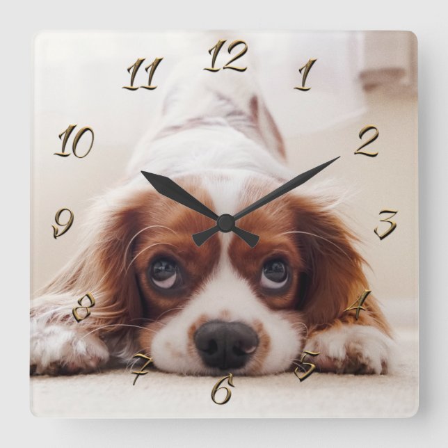 Doggy Quadratische Wanduhr (Vorderseite)