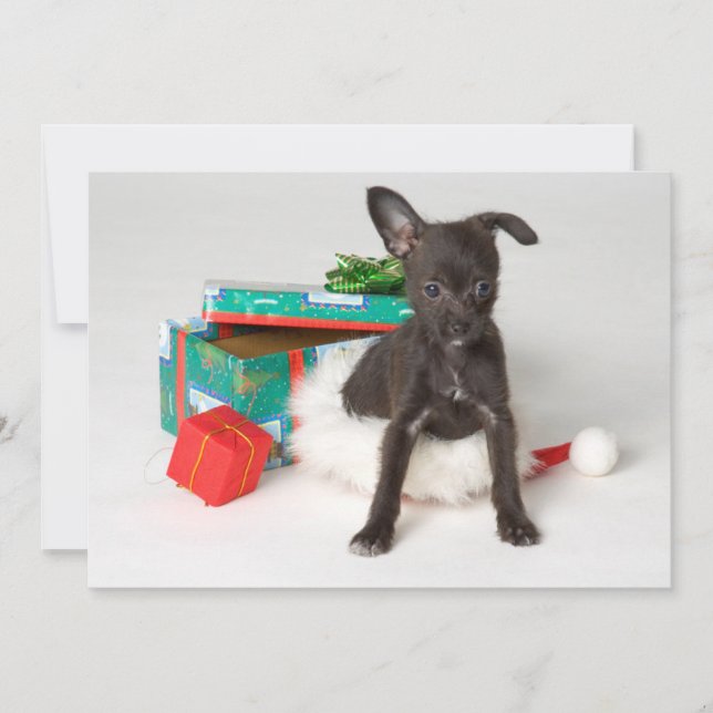Doggy Weihnachtsgeschenk Feiertagskarte (Vorderseite)