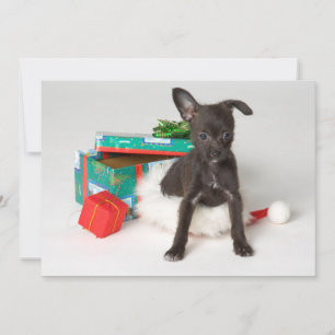 Doggy Weihnachtsgeschenk Feiertagskarte