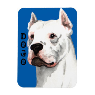 Dogo Argentino Farbblock Magnet