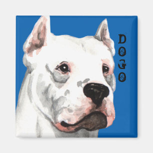 Dogo Argentino Farbblock Magnet