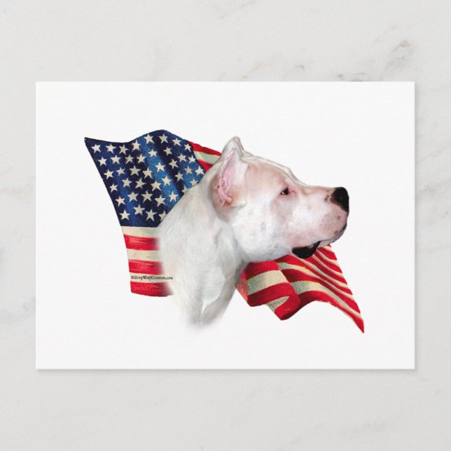 Dogo Argentino Flag Postkarte (Vorderseite)