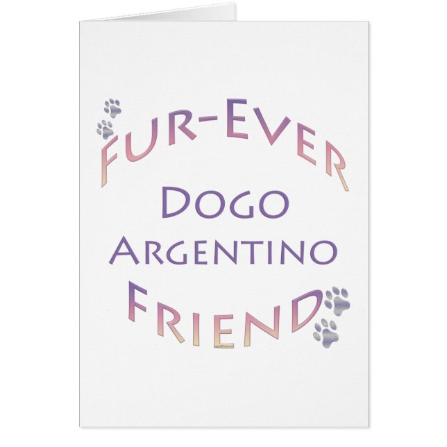 Dogo Argentino Furever (Vorne)