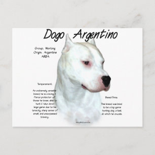 Dogo Argentino Geschichtsdesign Postkarte