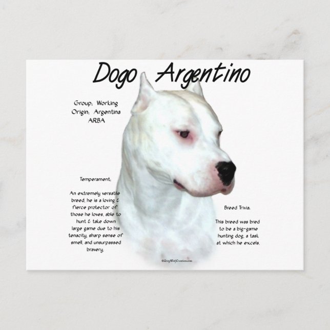 Dogo Argentino Geschichtsdesign Postkarte (Vorderseite)