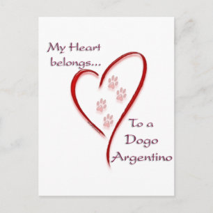 Dogo Argentino Heart Belongs Postkarte