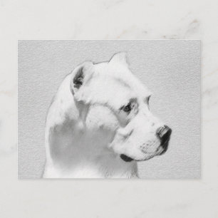 Dogo Argentino Malerei - Original Dog Art Postkarte