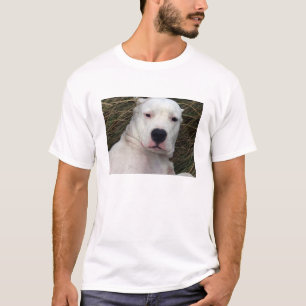 dogo argentino.png T-Shirt