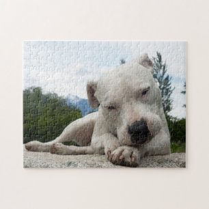 Dogo Argentino  Puzzle