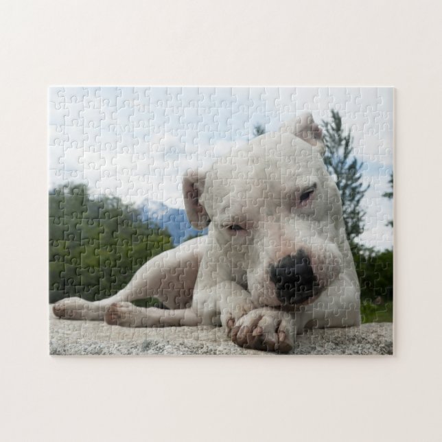 Dogo Argentino  Puzzle (Horizontal)