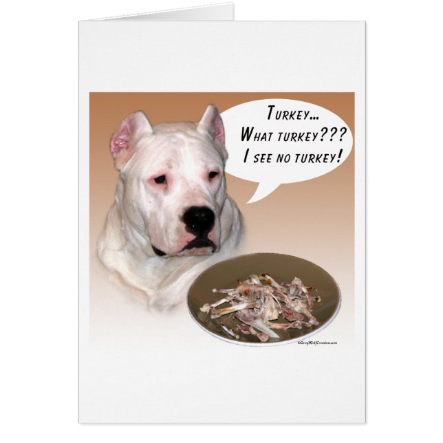 Dogo Argentino Türkei (Vorne)