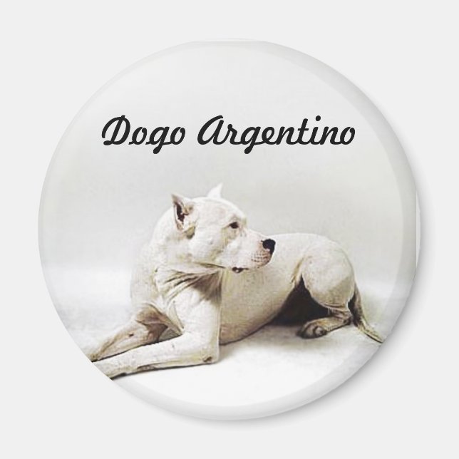 Dogo, Dogo Argentino Magnet (Vorne)