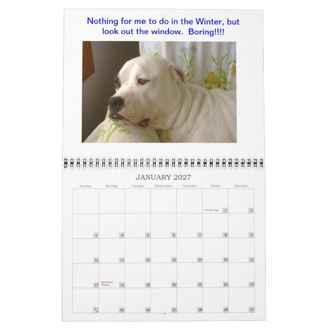 Dogo Kalender (Jan 2027)