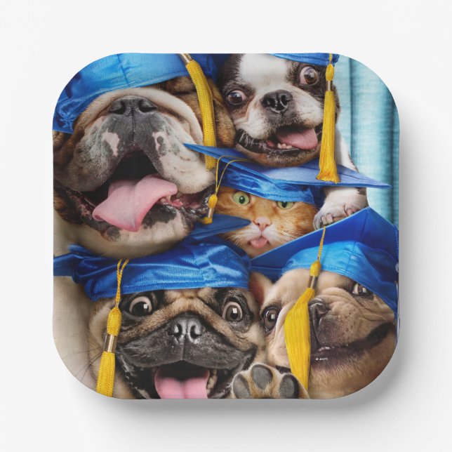 Dogs and Cat Grads in Photo Booth Pappteller (Vorderseite)